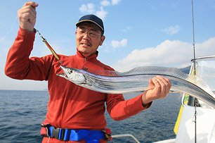 タチウオもルアーフィッシングの対象魚